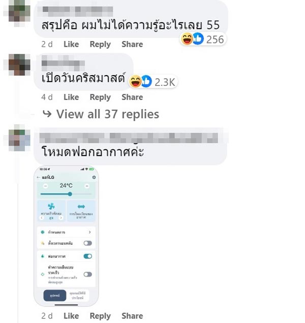 รูปต้นสนในรีโมตแอร์