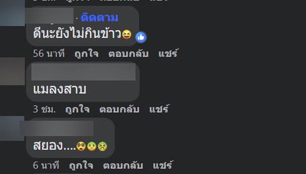 แมลงสาบในโกโก้ปั่น
