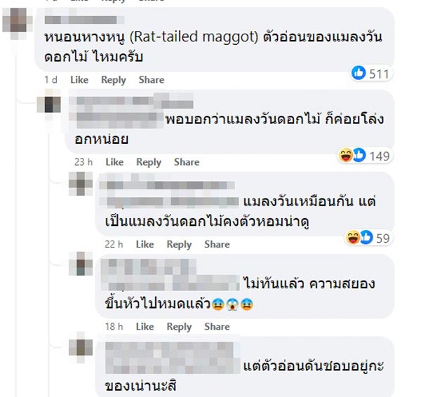 สิ่งสกปรกในน้ำลำไย