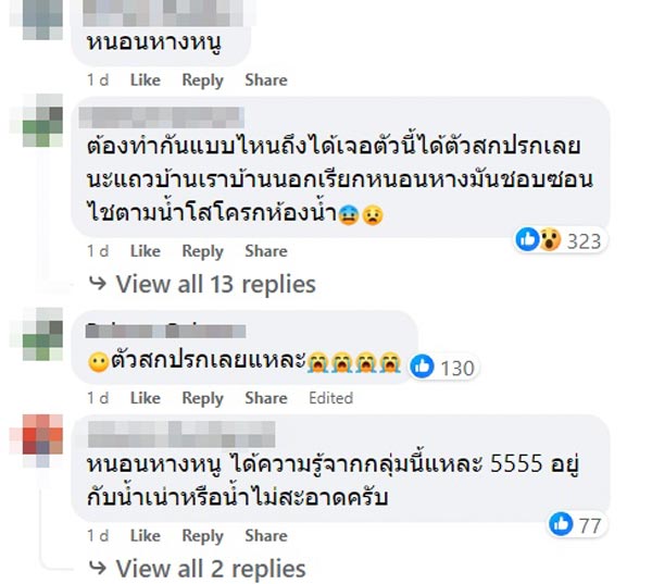 สิ่งสกปรกในน้ำลำไย