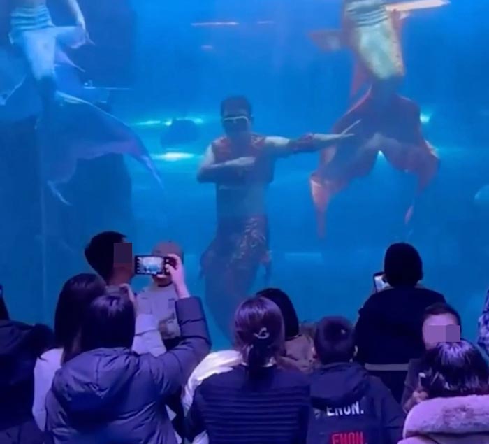 นายเงือก โชว์ใต้น้ำ