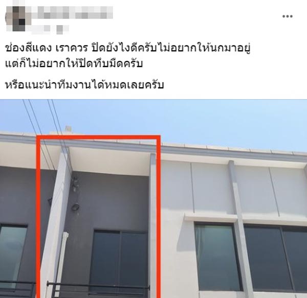 ปัญหานกทำรังบนระเบียงบ้าน