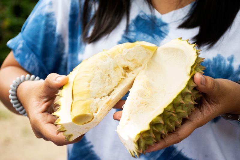 บุฟเฟต์ทุเรียน