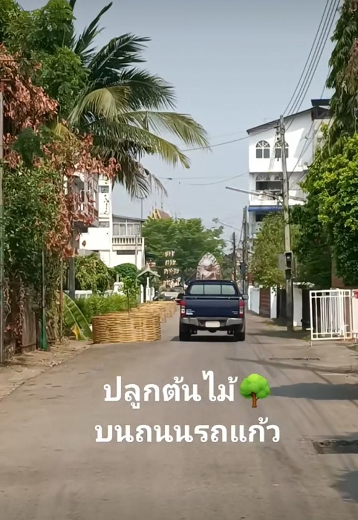 ถนนรถแก้ว ปลูกต้นไม้ยึดเลนถนน