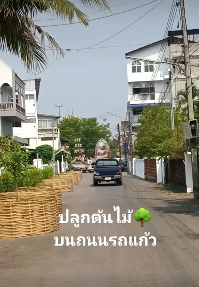 ถนนรถแก้ว ปลูกต้นไม้ยึดเลนถนน