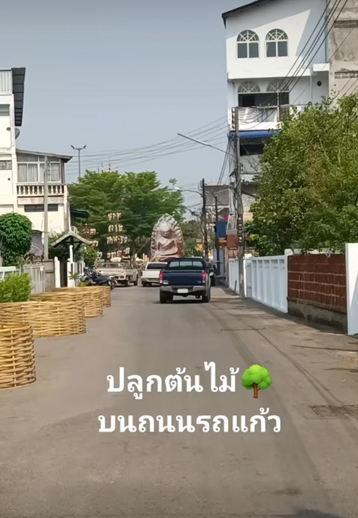 ถนนรถแก้ว ปลูกต้นไม้ยึดเลนถนน