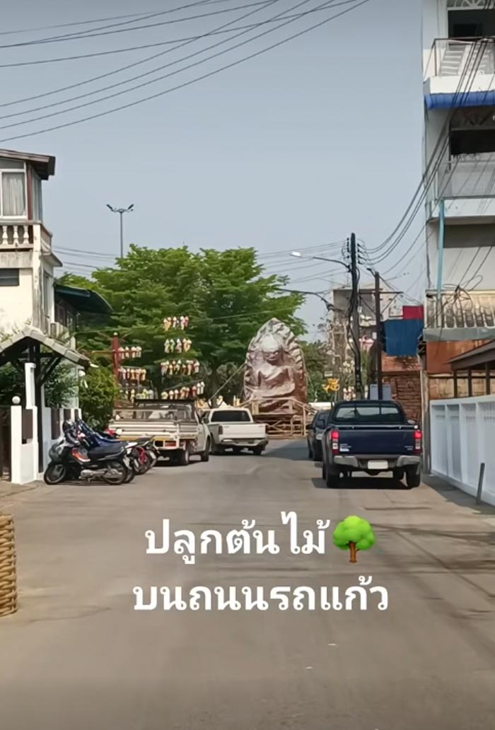 ถนนรถแก้ว ปลูกต้นไม้ยึดเลนถนน