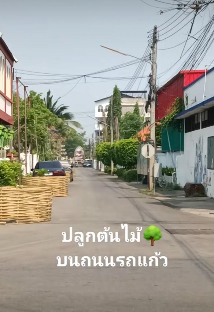 ถนนรถแก้ว ปลูกต้นไม้ยึดเลนถนน