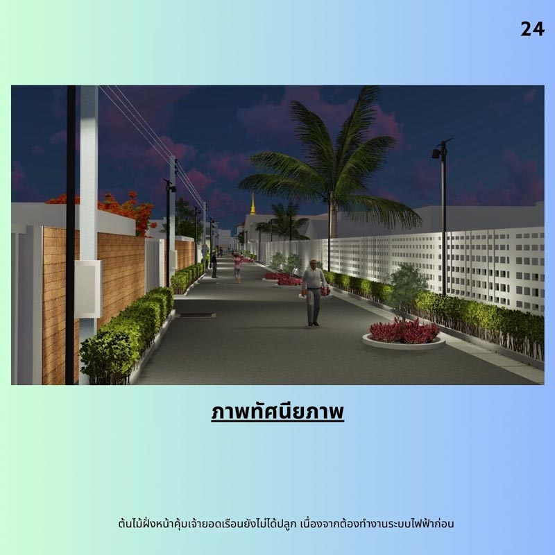 ถนนรถแก้ว ปลูกต้นไม้ยึดเลนถนน