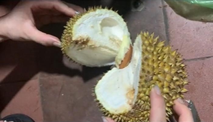 แกะทุเรียน