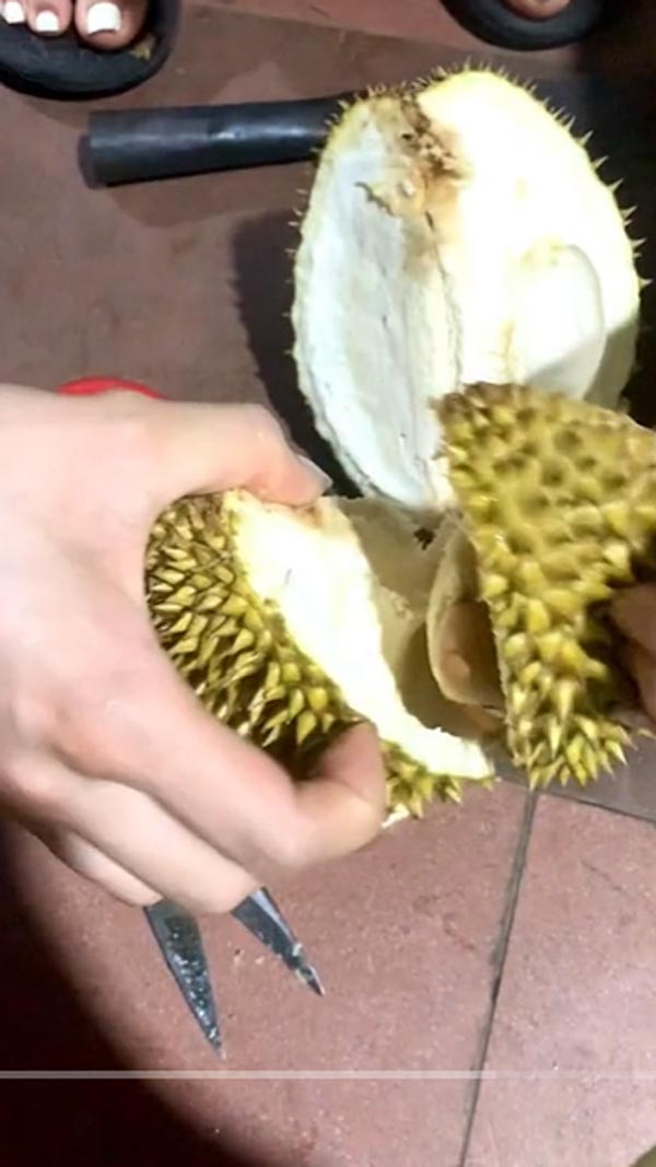 แกะทุเรียน