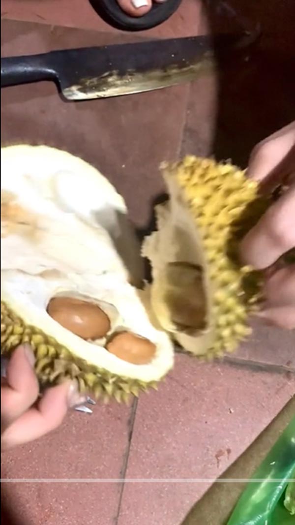 แกะทุเรียน