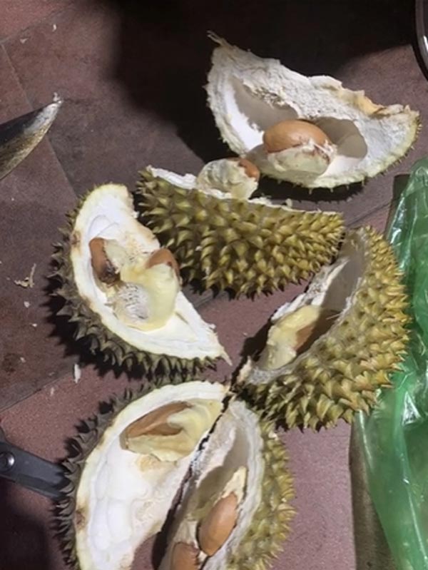 แกะทุเรียน