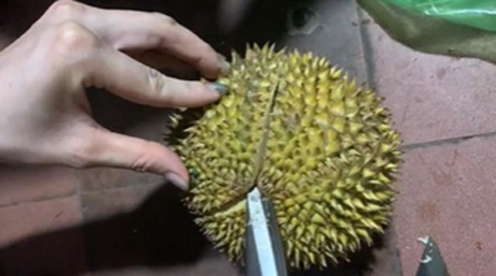 แกะทุเรียน