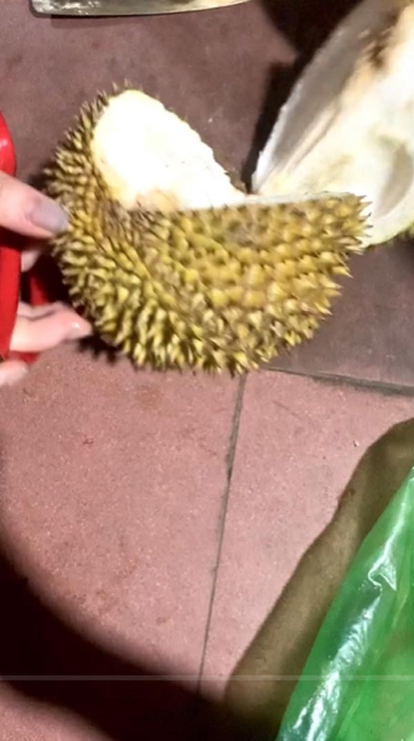 แกะทุเรียน