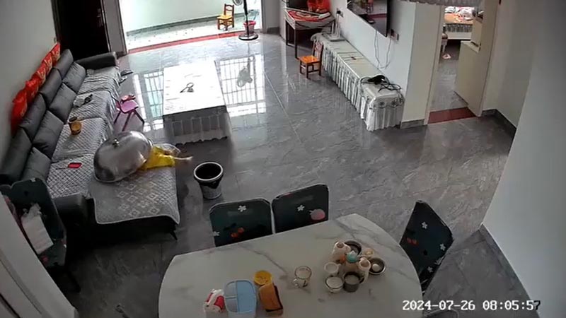 ลูกชายหายตัวไป