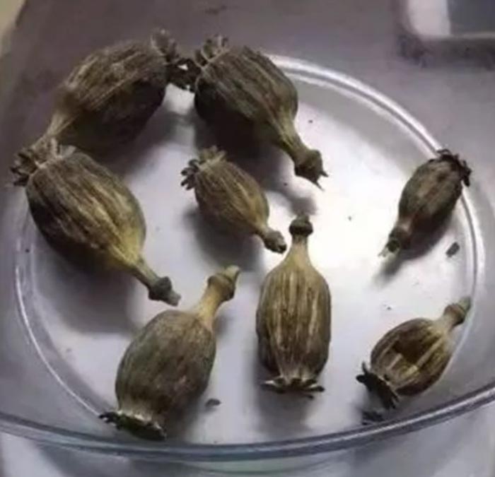 ลูกชายแสบ แค้นพ่อ เลยแจ้งความจับพ่อ