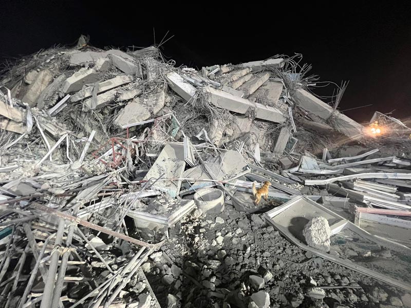 สุนัข K9 ค้นหาผู้ประสบภัย