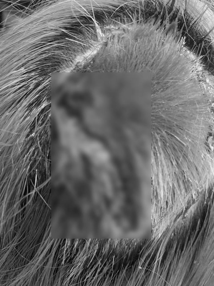 เตือนภัยทำสีผม