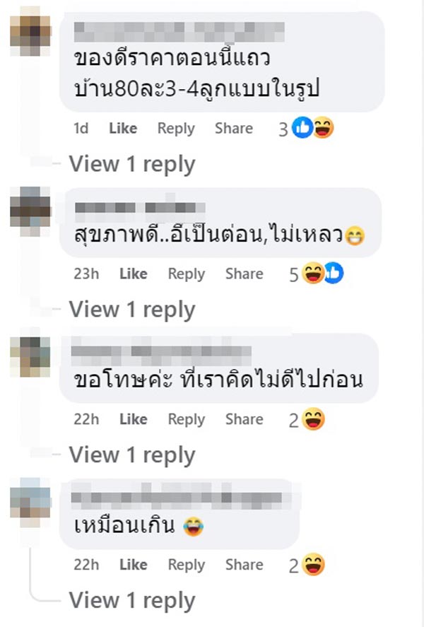 ไข่ปลาดุก