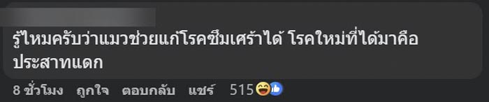 แมวซน ทำมู่ลี่พัง แมวซน ทำมู่ลี่พัง