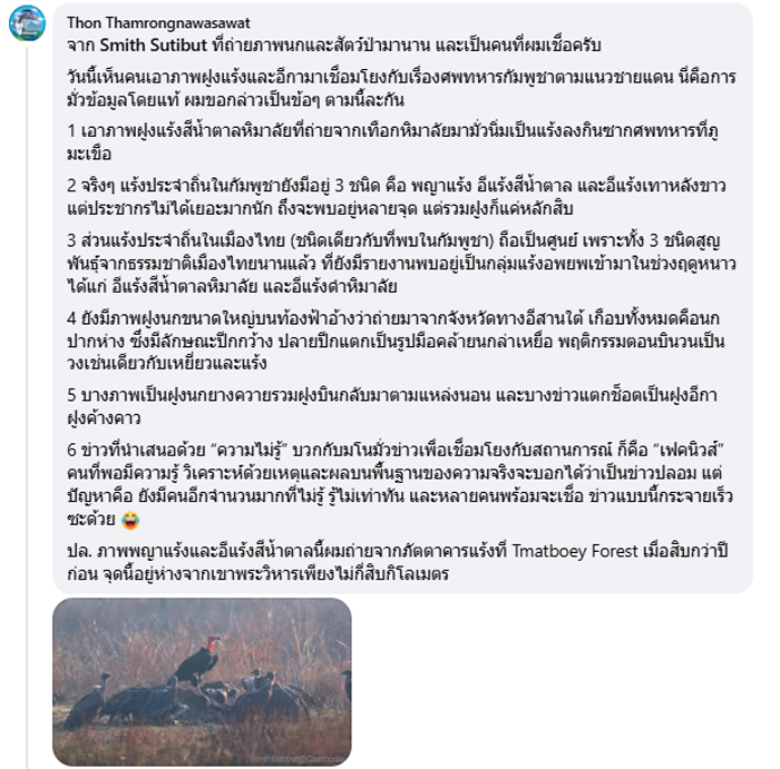 แร้งกินศพทหาร ชายแดนไทย - กัมพูชา