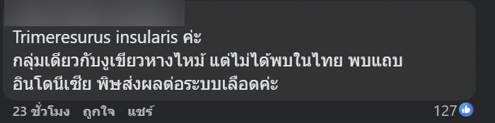 งูสีฟ้า