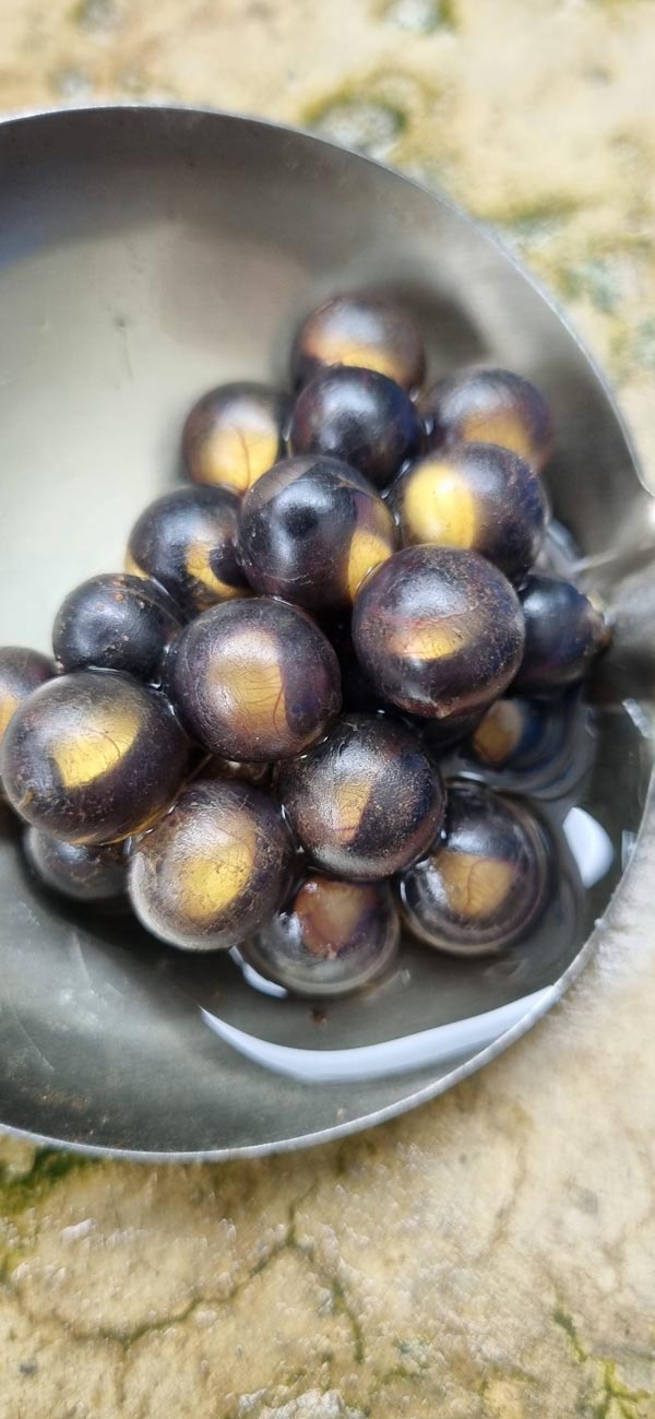 ไข่ปริศนาไหลมากับน้ำ