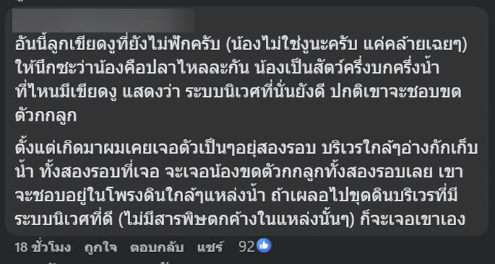 ไข่ปริศนาไหลมากับน้ำ