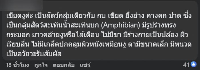 ไข่ปริศนาไหลมากับน้ำ