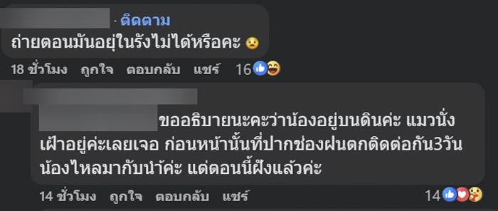 ไข่ปริศนาไหลมากับน้ำ