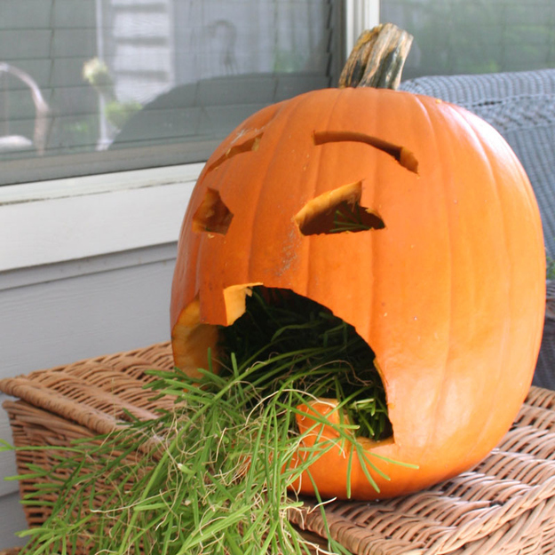 ฟักทองขี้เมา ไอเดียแกะสลักเก๋ ๆ รับวันฮาโลวีน