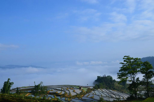 ทุ่งนาขั้นบันไดฮาหนี