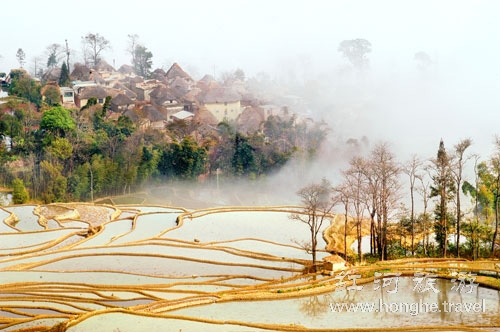 ทุ่งนาขั้นบันไดฮาหนี