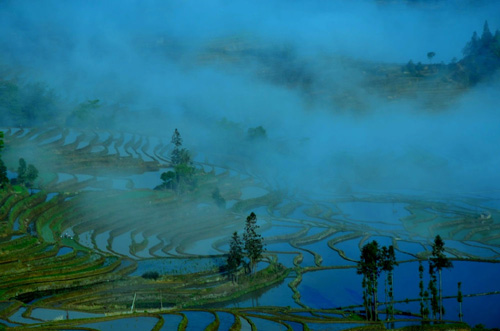 ทุ่งนาขั้นบันไดฮาหนี