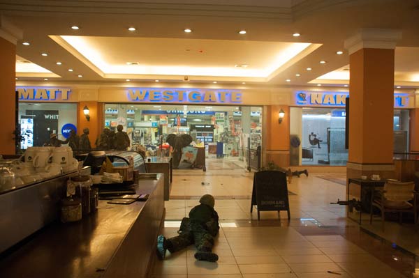 การก่อการร้ายในแอฟริกา 