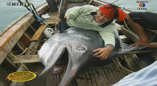 ปลากระโทงยักษ์