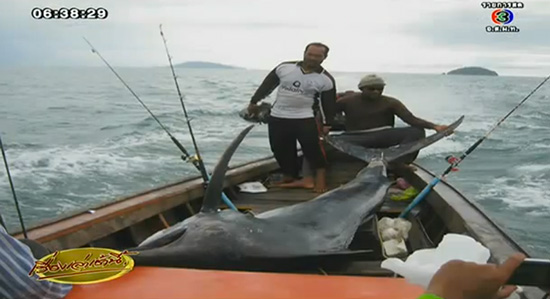 ปลากระโทงยักษ์