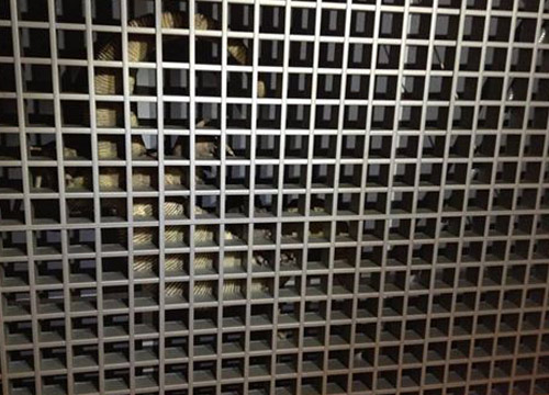  ตัวเงินตัวทองโผล่เพดานห้องโถงสภา