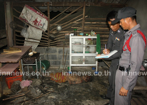 ข่าวหมูทำร้ายคน