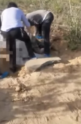 ฝังทั้งเป็น