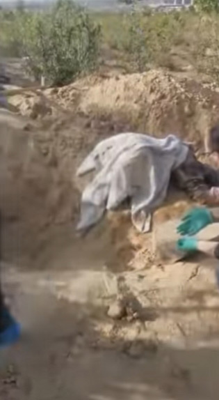 ฝังทั้งเป็น