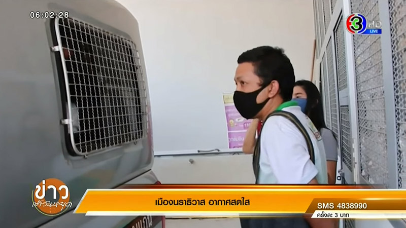 หนุ่มโอนไว