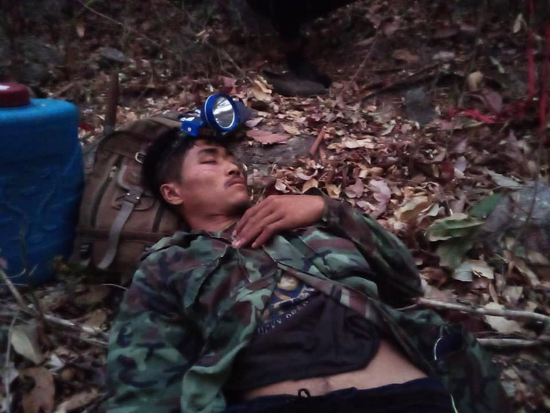 ไฟป่าแม่วงก์ 