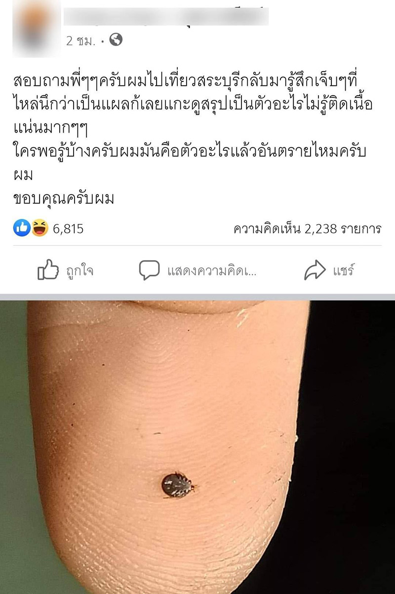 เรื่องตลก