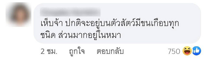 เรื่องตลก