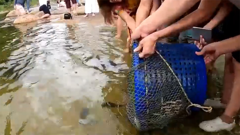 มูลนิธิธรรมดี ปล่อยปลาดุก ลงแม่น้ำคีรีวง