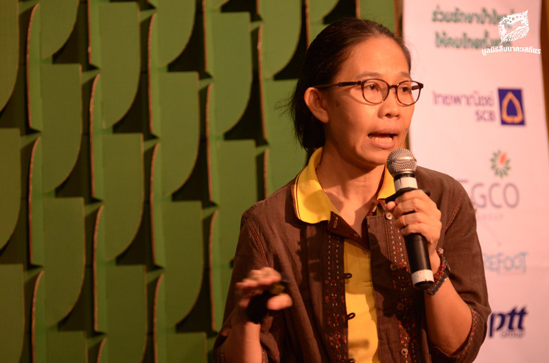 พญาวานร ลิงยักษ์ นครสวรรค์