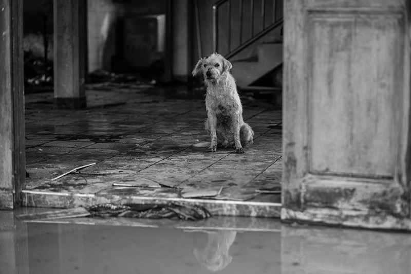 ท่อแก๊สระเบิดบางบ่อ