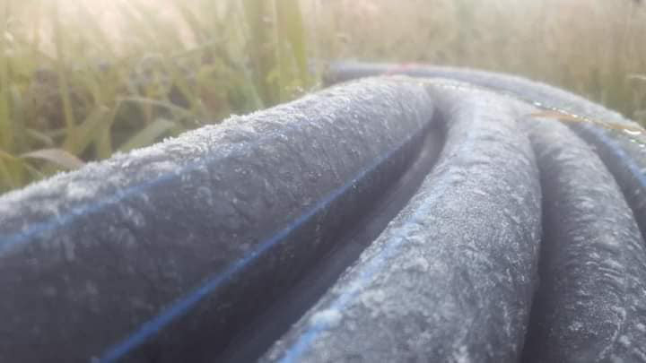 นักท่องเที่ยวหนาวตาย อุทยานแห่งชาติภูหินร่องกล้า